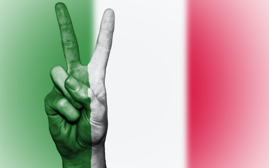 articolo 33