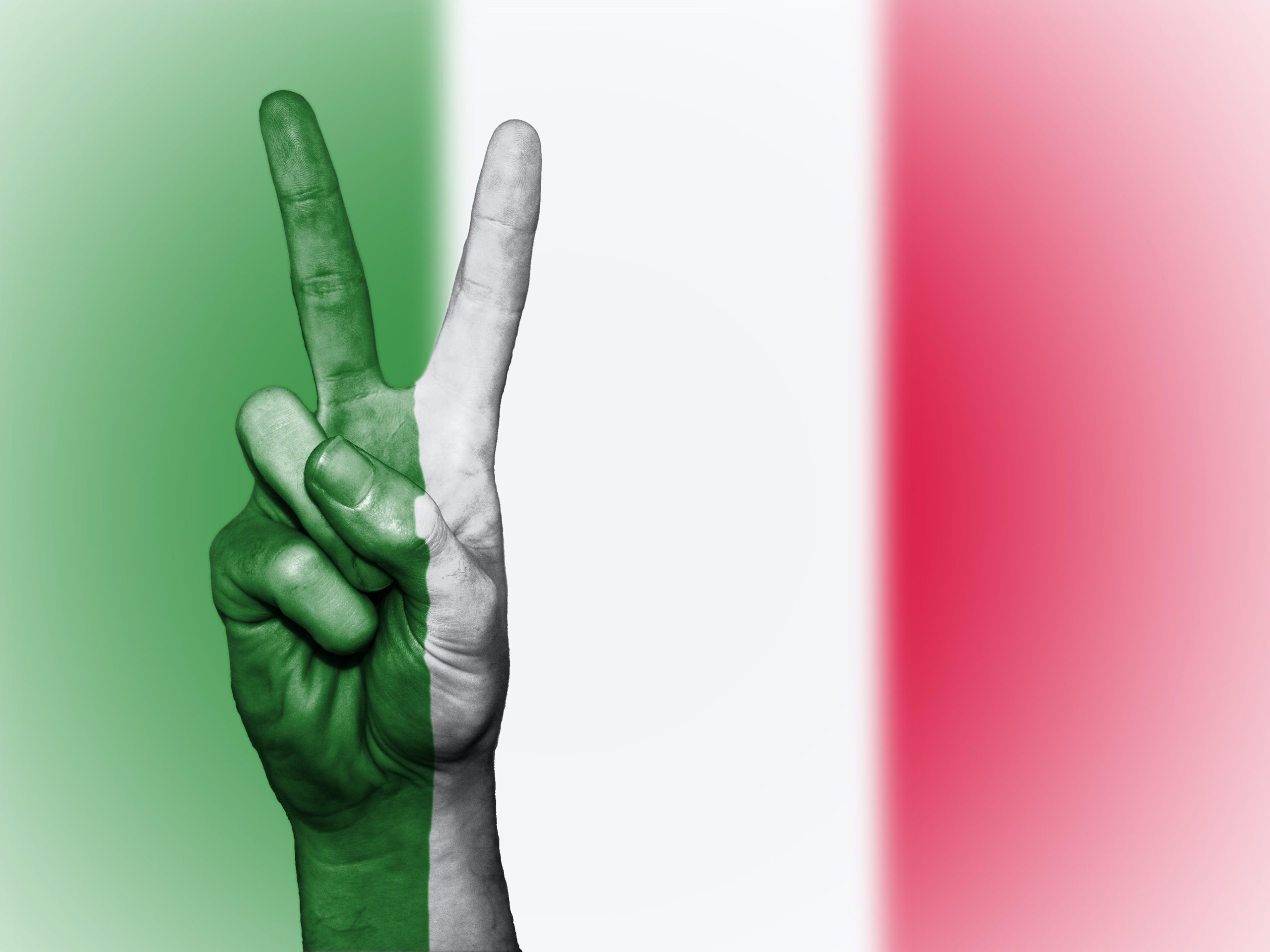articolo 33
